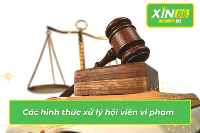 Điều Khoản Và Điều Kiện Mà Các Cược Thủ Bắt Buộc Phải Biết Biện pháp xử lý hội viên vi phạm quy định của nhà cái