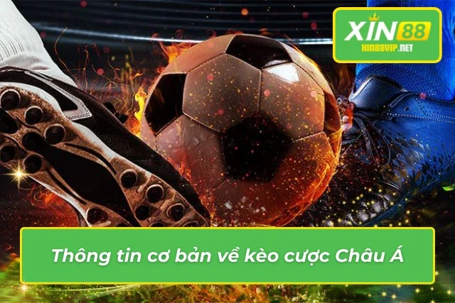 Nắm Bắt Thông Tin Và Chinh Phục Chiến Thắng Với Kèo Châu Á Tổng quan về kèo cược Châu Á