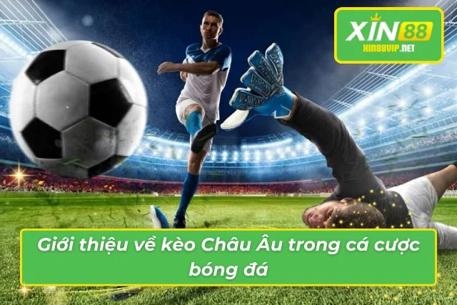 Những Điều Thú Vị Từ Kèo Châu Âu Giúp Tân Thủ Luôn Thắng Lớn Tổng quan về kèo cược Châu Âu