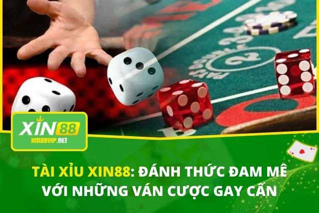 Tài Xỉu XIN88: Đánh Thức Đam Mê Với Những Ván Cược Gay Cấn Tài Xỉu